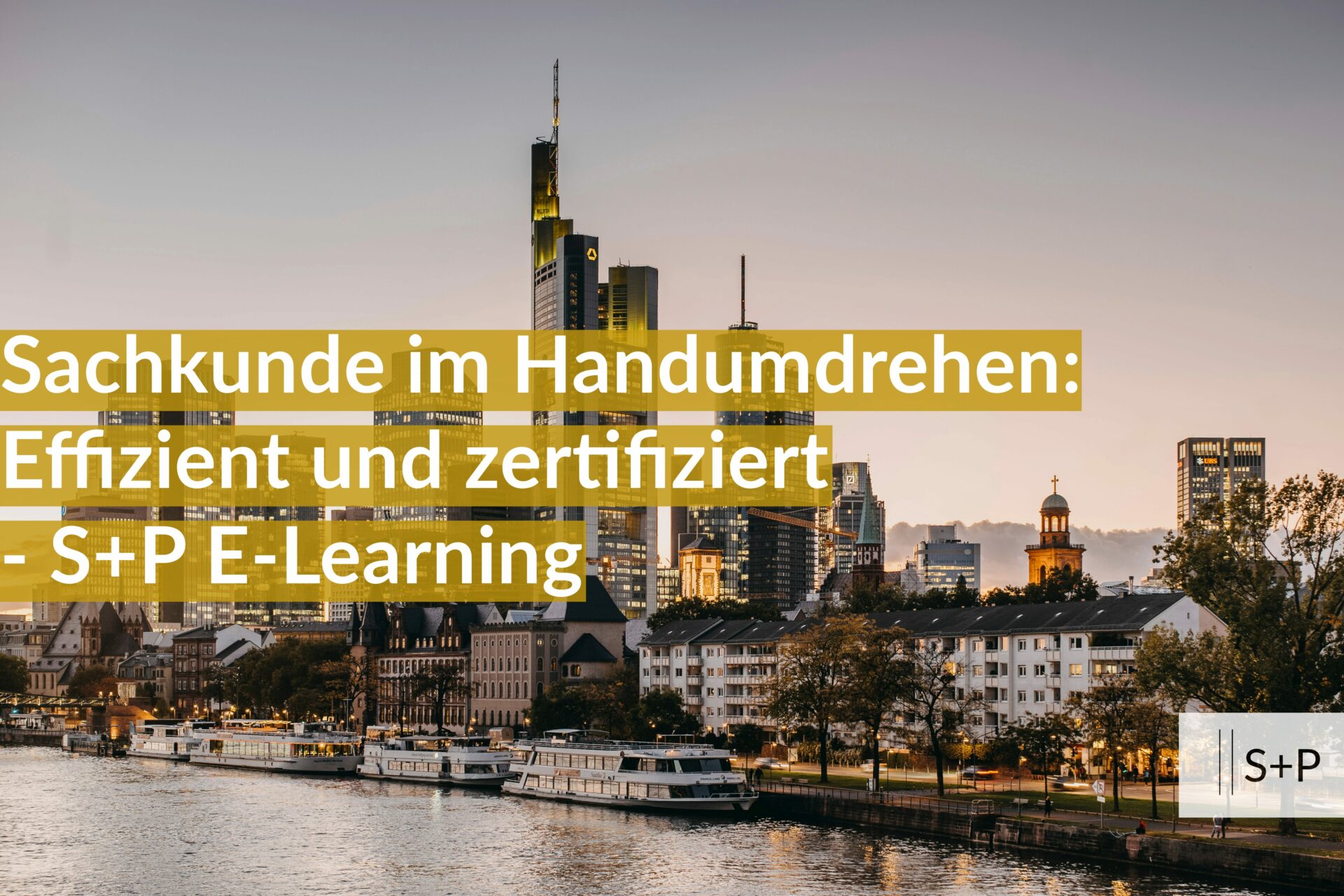 Optimiere dein Team mit S+P eLearning: Maßgeschneiderte Kurse für Top-Leistungen!